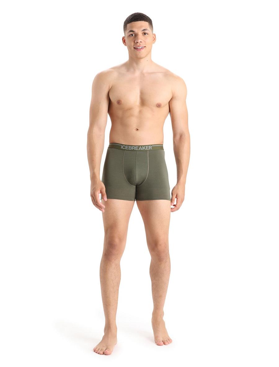 Men's Icebreaker Merino Anatomica Boxers Underwear Loden | CA 1634ZUTG